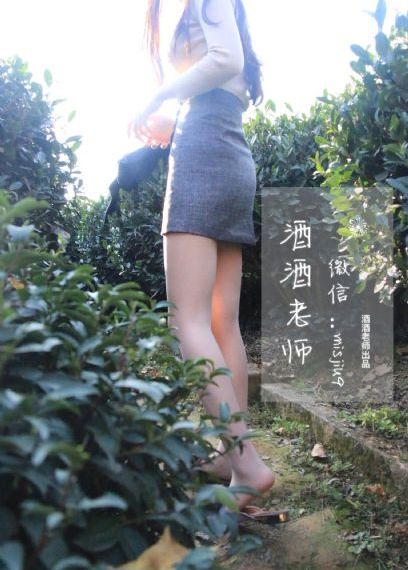 金瓶莲