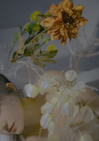 电影《扫黑风暴》