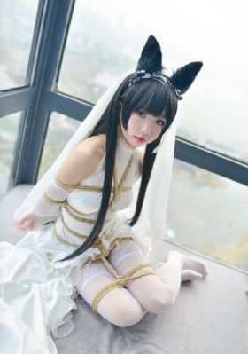 一女四妾免费观看电视剧大全下载